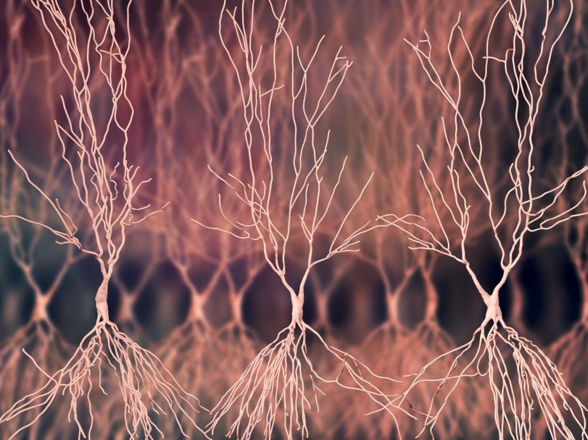 Mémoire sur Souvenirs et Minuteurs Moléculaires Mémoire sur Souvenirs et Minuteurs Moléculaires