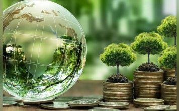 Essor du Financement Vert en Afrique entre Rigueur Essor du Financement Vert en Afrique entre Rigueur