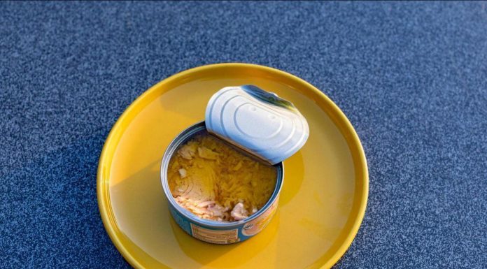 Thon en Boîte et Risques de Mercure un An Après Alerte Thon en Boîte et Risques de Mercure un An Après Alerte