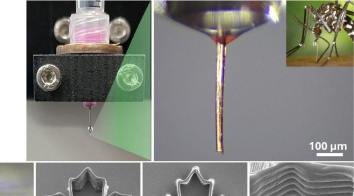 Impression 3D avec Trompe de Moustique Nécro-Impression Impression 3D avec Trompe de Moustique Nécro-Impression