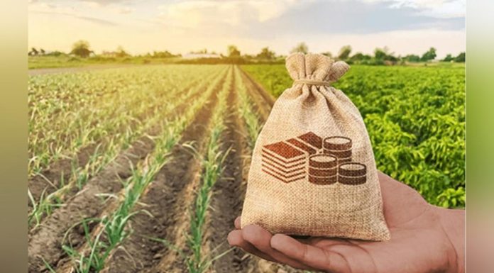 La Terre Africaine sous le Poids des Capitaux La Terre Africaine sous le Poids des Capitaux