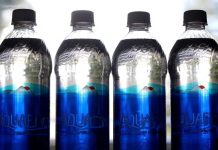 Impact des Microplastiques Selon le Régime Alimentaire Impact des Microplastiques Selon le Régime Alimentaire