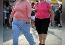 Poids Après Arrêt des Traitements Anti-Obésité Poids Après Arrêt des Traitements Anti-Obésité