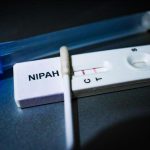 Virus Nipah en Inde: L’Europe Doit-Elle S’inquiéter? Virus Nipah en Inde: L’Europe Doit-Elle S’inquiéter?