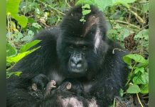 Bonnes Nouvelles Scientifiques de Janvier 2026 Bonnes Nouvelles Scientifiques de Janvier 2026