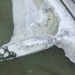 Épave de Navire Réapparaît en Suède avec Baisse Baltique Épave de Navire Réapparaît en Suède avec Baisse Baltique