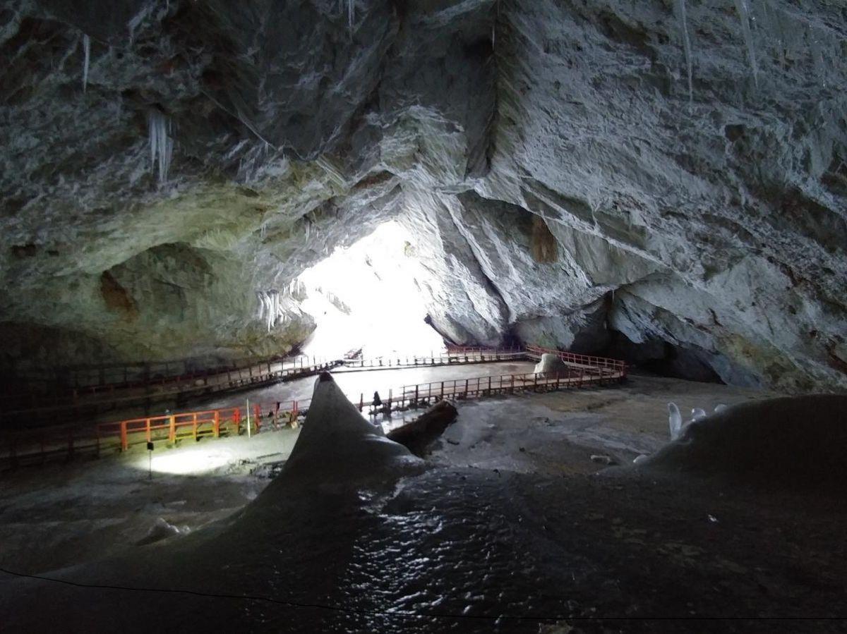 Bactérie Ancienne Résiste aux Antibiotiques Modernes Bactérie Ancienne Résiste aux Antibiotiques Modernes