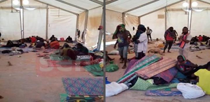 Immigration Clandestine-HSF : Des Sénégalais en détresse à Agadès sollicitent l’aide des autorités Étatiques Immigration Clandestine-HSF : Des Sénégalais en détresse à Agadès sollicitent l’aide des autorités Étatiques
