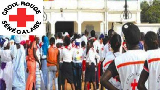 La Journée internationale du volontariat sera célébrée à Kaolack, dimanche La Journée internationale du volontariat sera célébrée à Kaolack, dimanche