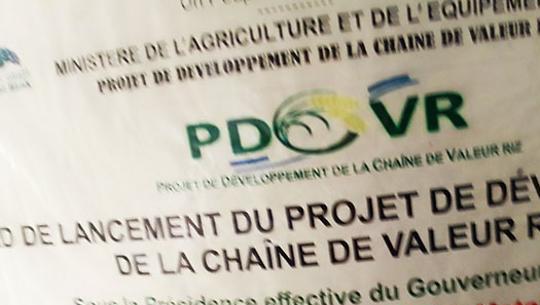 Matam : lancement du projet de développement de la chaîne de valeur riz Matam : lancement du projet de développement de la chaîne de valeur riz