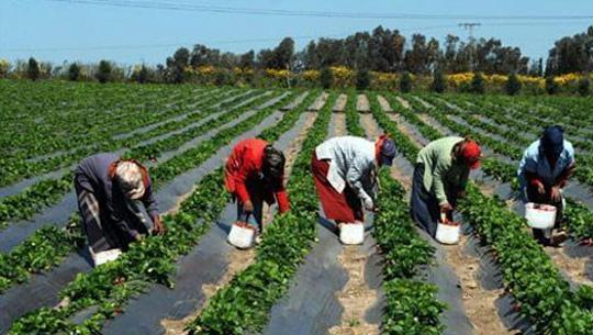 Kolda : Lancement d’un nouveau programme de développement de la Casamance Kolda : Lancement d’un nouveau programme de développement de la Casamance
