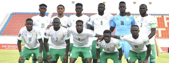 CAN 2021 : LE STAGE DES LIONS AU RWANDA ANNULÉ CAN 2021 : LE STAGE DES LIONS AU RWANDA ANNULÉ