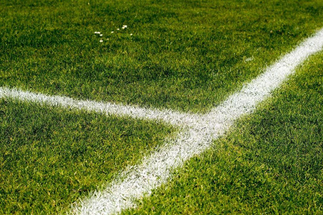 Cameroun: l'insécurité et les tensions politiques vont-elles gâcher la Coupe d'Afrique? Cameroun: l'insécurité et les tensions politiques vont-elles gâcher la Coupe d'Afrique?