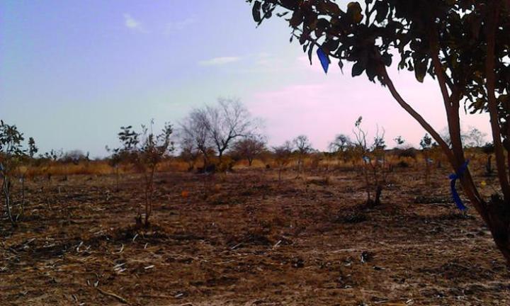 2021, la pire année pour le Sahel 2021, la pire année pour le Sahel