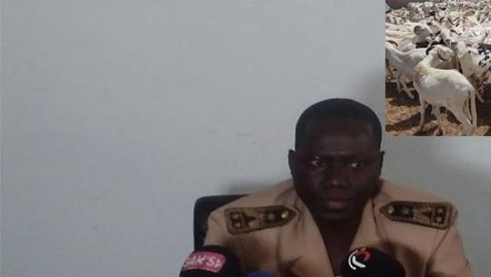 Malgré l’embargo sur le Mali, le Sénégal sera bien approvisionné en moutons pour la Tabaski, selon un gouverneur Malgré l’embargo sur le Mali, le Sénégal sera bien approvisionné en moutons pour la Tabaski, selon un gouverneur