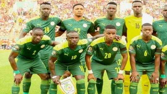Mondial 2022 : Contre les Qataris, les Lions sont favoris Mondial 2022 : Contre les Qataris, les Lions sont favoris