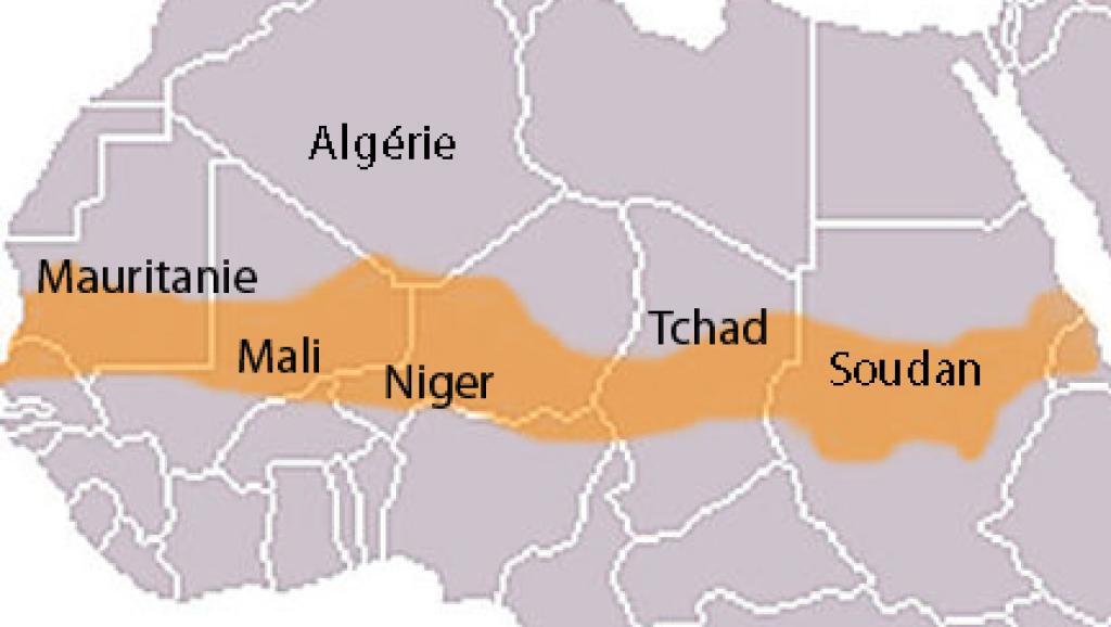 Sahel : 18 millions de personnes risquent de souffrir de la faim au cours des trois prochains mois (OCHA) Sahel : 18 millions de personnes risquent de souffrir de la faim au cours des trois prochains mois (OCHA)