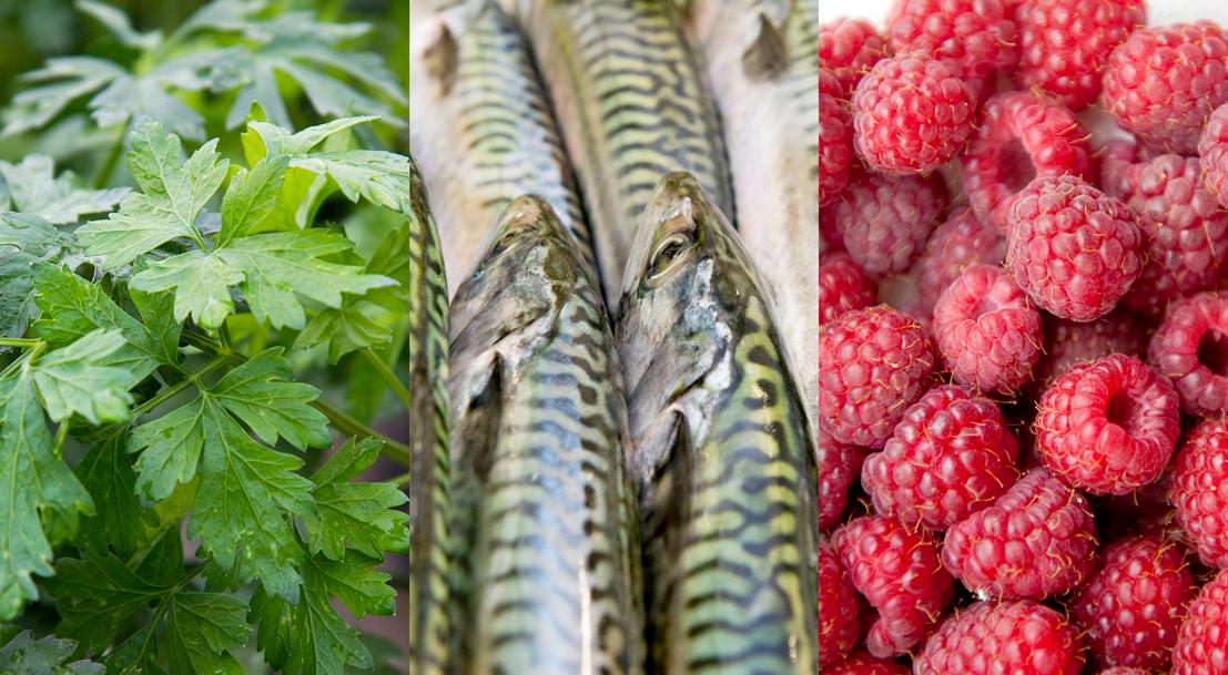 Les produits de saison d’août Les produits de saison d’août