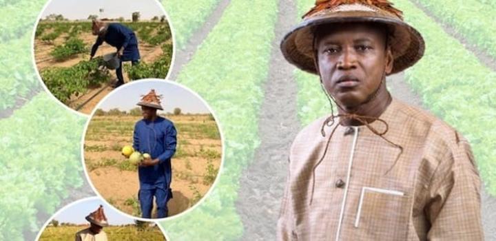Agriculture : 700 tracteurs annoncés par le ministre Aly Ngouille Ndiaye Agriculture : 700 tracteurs annoncés par le ministre Aly Ngouille Ndiaye