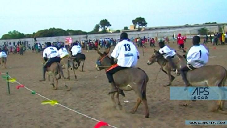 Louga : La dixième édition de la course d'ânes aura lieu le 25 février ...
