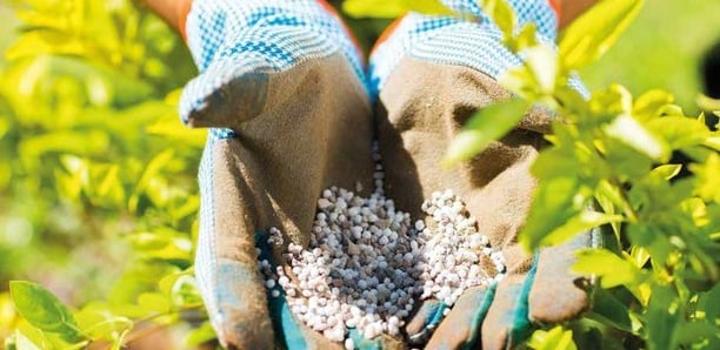 Détournements d’engrais subventionnés par l’État : Le président de la coopérative de Kouthia Gaydi condamné Détournements d’engrais subventionnés par l’État : Le président de la coopérative de Kouthia Gaydi condamné