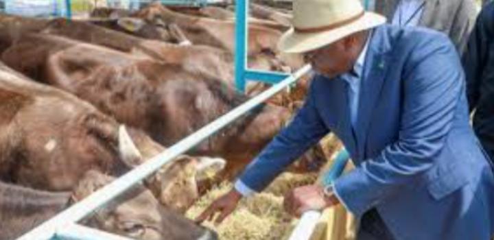 Viabilisation des terroirs : Des acteurs de développement communautaire s’engagent Viabilisation des terroirs : Des acteurs de développement communautaire s’engagent