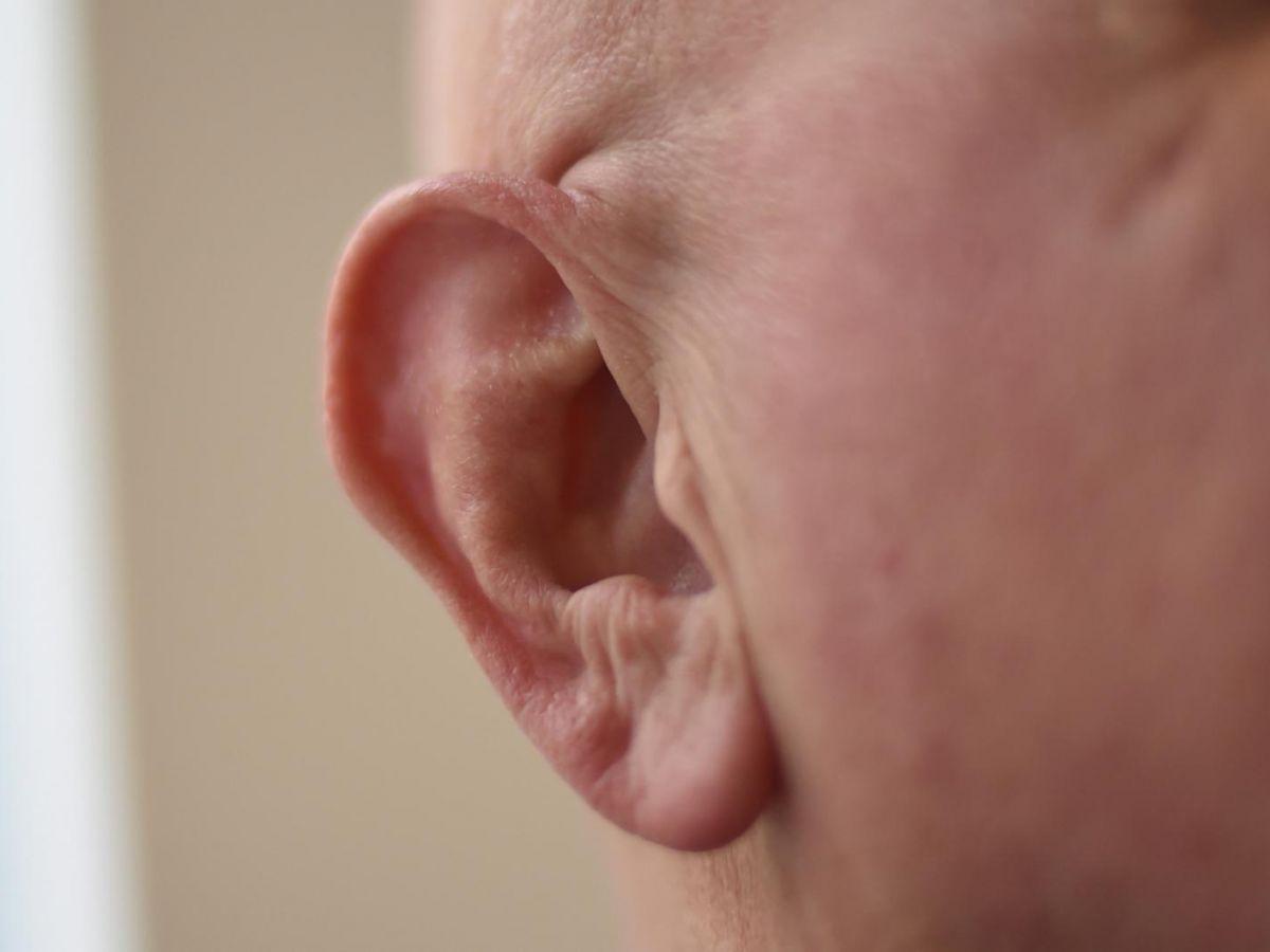 Audition : la misophonie, la haine de certains sons, peut agacer ou mettre en rage Audition : la misophonie, la haine de certains sons, peut agacer ou mettre en rage