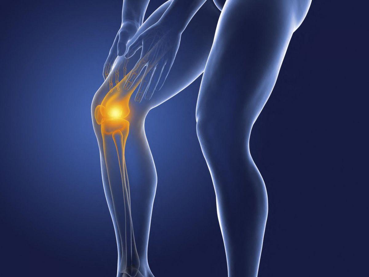 Arthrose : une piste de traitement prometteuse, permettant au cartilage de se régénérer Arthrose : une piste de traitement prometteuse, permettant au cartilage de se régénérer