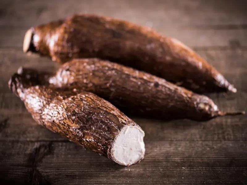Les avantages du manioc pour la santé Les avantages du manioc pour la santé
