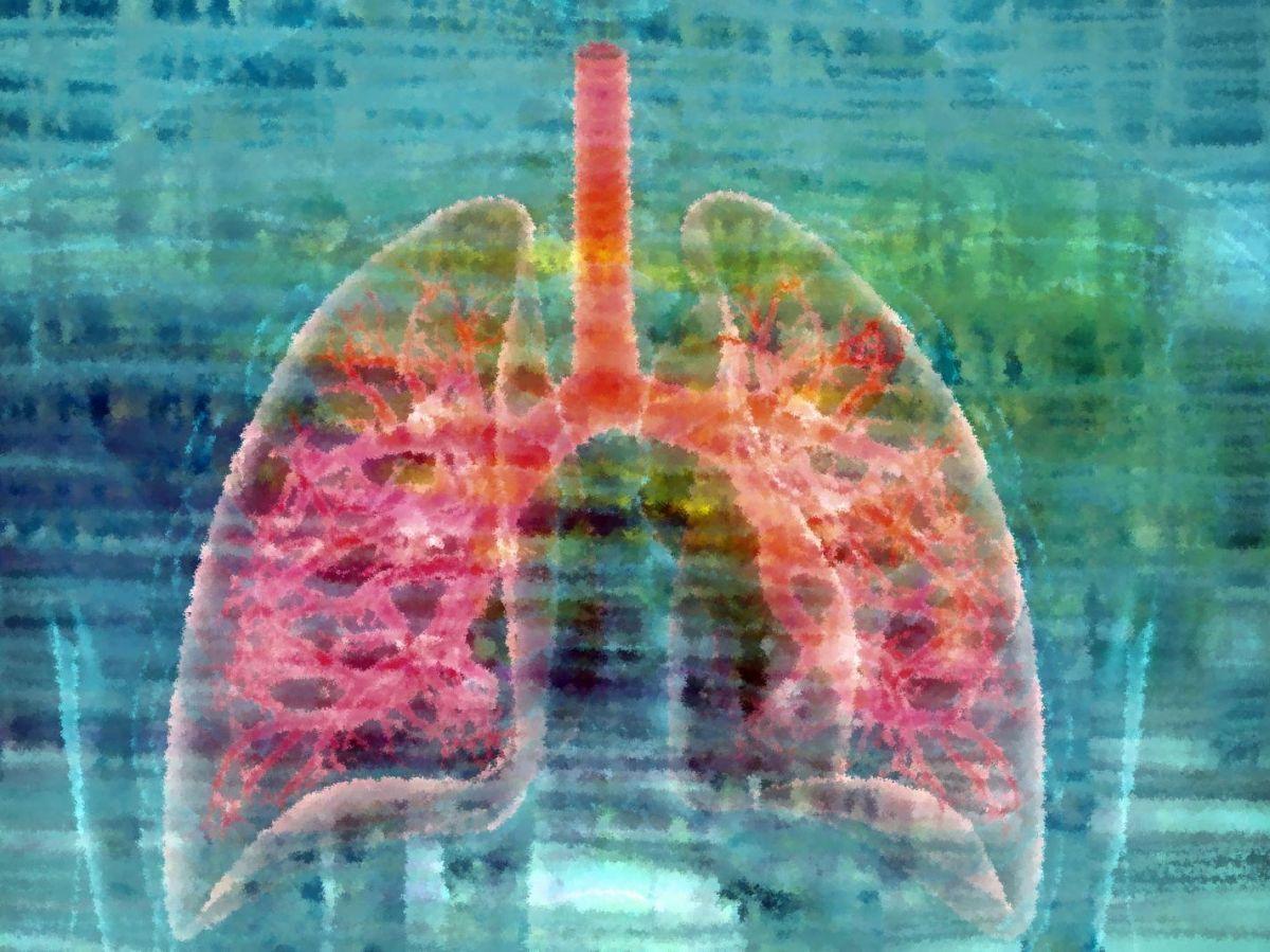 BPCO : une nouvelle approche pour régénérer des poumons endommagés