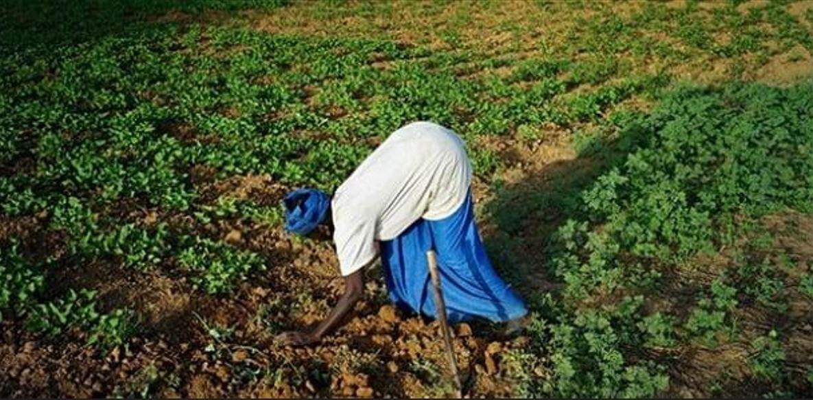 Accès des femmes à la terre : Entre précisions et promesses du ministre de l’Agriculture
