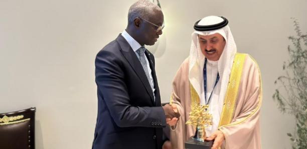 COP 28 : Amadou Mame Diop met en avant le modèle sénégalais et appelle à une transition écologique équitable COP 28 : Amadou Mame Diop met en avant le modèle sénégalais et appelle à une transition écologique équitable