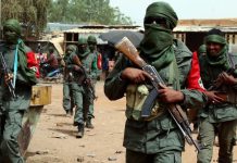 Les mouvements armés et la sécurité en Afrique : Facteurs et motivations de l’émergence de ces mouvements sur le Continent africain Les mouvements armés et la sécurité en Afrique : Facteurs et motivations de l’émergence de ces mouvements sur le Continent africain