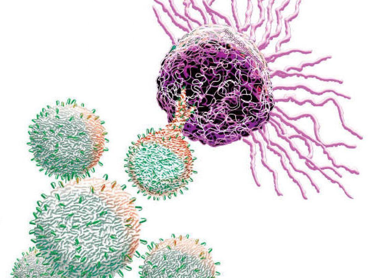 Les Attaques Toujours Plus Ciblées de L’immunothérapie - Senegal