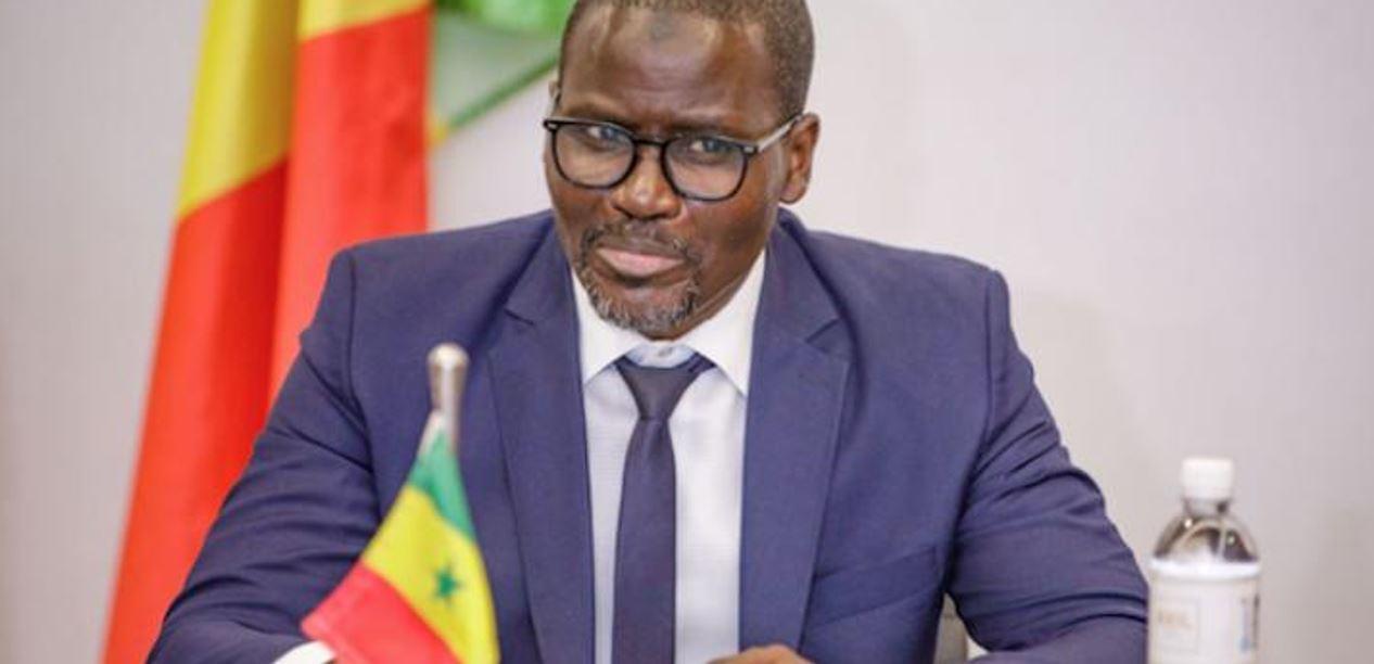 Gouvernement : Le Pr Allé Nar Diop nommé Ministre, Conseiller Économique, Coordonnateur du BIPE et de la BSEPPP Gouvernement : Le Pr Allé Nar Diop nommé Ministre, Conseiller Économique, Coordonnateur du BIPE et de la BSEPPP