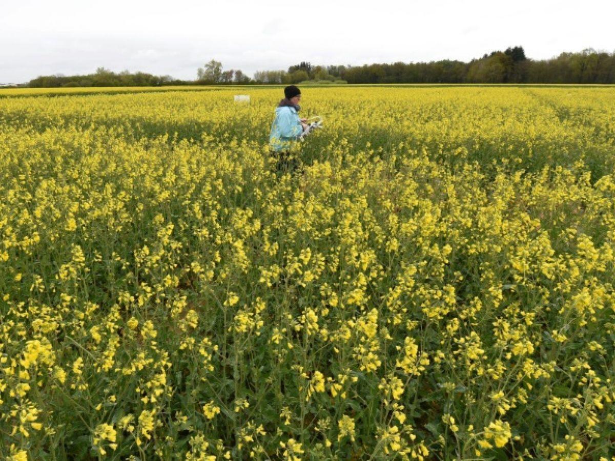 Les émissions de protoxyde d’azote mettent en péril les objectifs climatiques, selon une étude Les émissions de protoxyde d’azote mettent en péril les objectifs climatiques, selon une étude