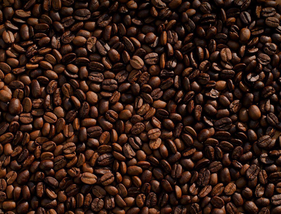 Ce Pays Africain, L’Un des Plus Grands Exportateurs de Café, Dégage un Revenu Annuel Record Ce Pays Africain, L’Un des Plus Grands Exportateurs de Café, Dégage un Revenu Annuel Record