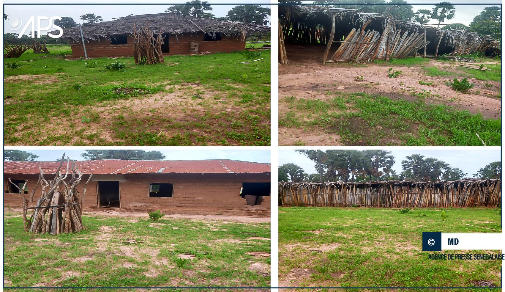 Bignona : Plaidoyer pour la Construction de Salles de Classe au Collège de Tambouille Bignona : Plaidoyer pour la Construction de Salles de Classe au Collège de Tambouille