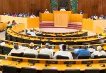 Le Cv des futurs députés: Magiciens, consultants et super-héros en carton Le Cv des futurs députés: Magiciens, consultants et super-héros en carton