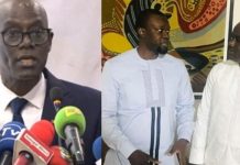 « Transhumance » de Déthié Fall : La réaction salée de Thierno Alassane Sall "Transhumance" de Déthié Fall : La réaction salée de Thierno Alassane Sall