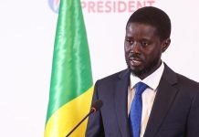 Le président sénégalais Bassirou Diomaye Faye a rencontré Karim Wade à Doha Le président sénégalais Bassirou Diomaye Faye a rencontré Karim Wade à Doha