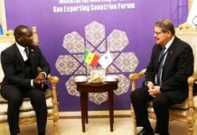 Forum des pays exportateurs de gaz : Biram Souleye Diop veut renforcer les liens entre le Sénégal et le GECF Forum des pays exportateurs de gaz : Biram Souleye Diop veut renforcer les liens entre le Sénégal et le GECF