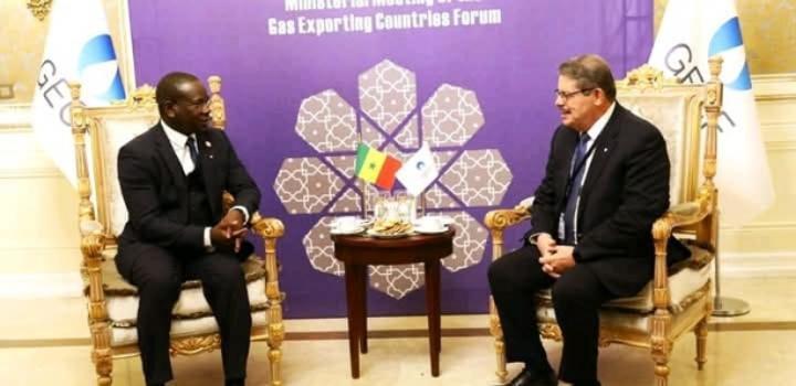 Forum des pays exportateurs de gaz : Biram Souleye Diop veut renforcer les liens entre le Sénégal et le GECF Forum des pays exportateurs de gaz : Biram Souleye Diop veut renforcer les liens entre le Sénégal et le GECF