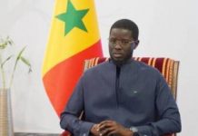 Après le limogeage de Cheikh Oumar Diagne : Diomaye Faye réaffirme sa position sur les tirailleurs Après le limogeage de Cheikh Oumar Diagne : Diomaye Faye réaffirme sa position sur les tirailleurs