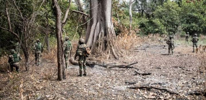 Lutte Contre le Trafic de Bois à Vélingara : L'Association Internationale pour Médina-Mary Salue la Récente Opération des FDS Lutte Contre le Trafic de Bois à Vélingara : L'Association Internationale pour Médina-Mary Salue la Récente Opération des FDS