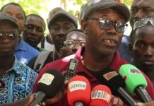 Occupation Illégale de Terres à Barafe : les Populations Interpellent les Autorités sur la Destruction de Leurs Plantations D’Anacarde Occupation Illégale de Terres à Barafe : les Populations Interpellent les Autorités sur la Destruction de Leurs Plantations D’Anacarde