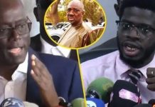 Jean-Michel Sène Accuse : Thierno Alassane Sall, Farba Ngom et les 12 Milliards F CFA Jean-Michel Sène Accuse : Thierno Alassane Sall, Farba Ngom et les 12 Milliards F CFA