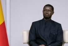 Former pour Peser: Diomaye Faye Lutte Déterminante Former pour Peser: Diomaye Faye Lutte Déterminante