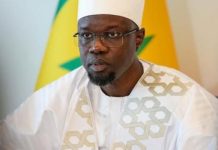 Plan de Redressement de Sonko et Échec de Senghor Plan de Redressement de Sonko et Échec de Senghor