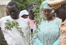 Altercation avec le Préfet de Kaolack: AMS Soutient Mboup Altercation avec le Préfet de Kaolack: AMS Soutient Mboup